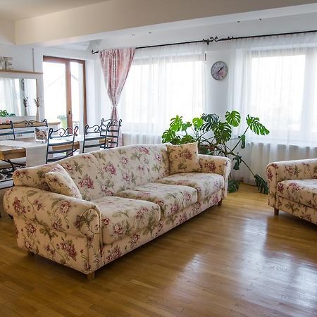 Silvia'S Apartment Voluntari 外观 照片