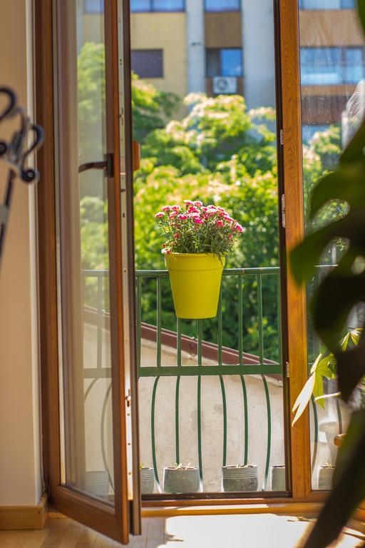 Silvia'S Apartment Voluntari 外观 照片