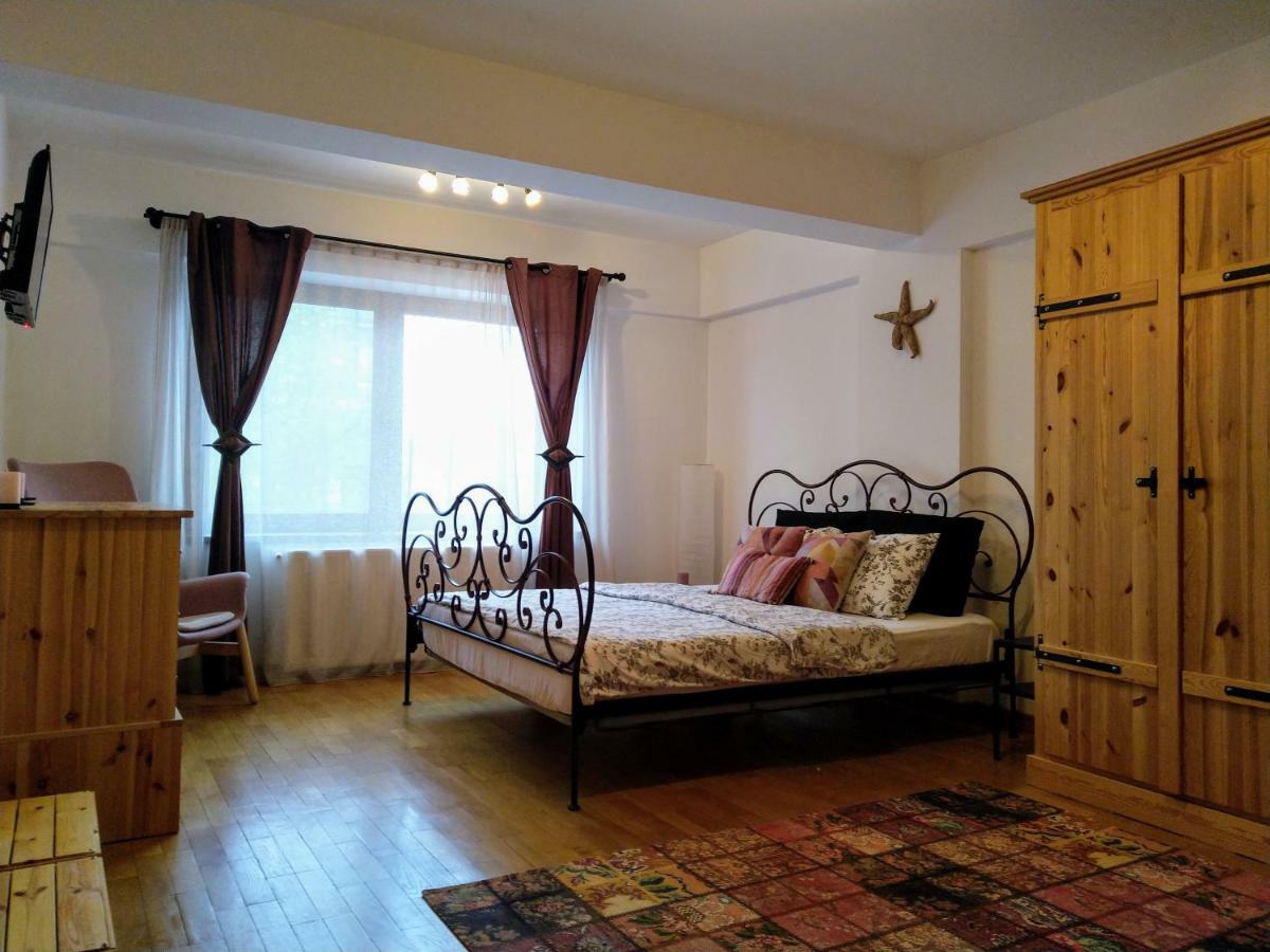 Silvia'S Apartment Voluntari 外观 照片